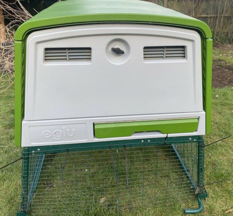 Omlet Eglu Cube Test & Erfahrungsbericht 2024 Ilkasfarm